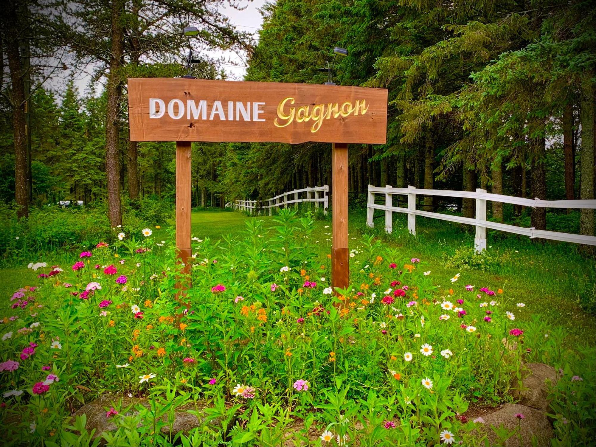 Villa Domaine Gagnon Saint Sebastien Esterno foto