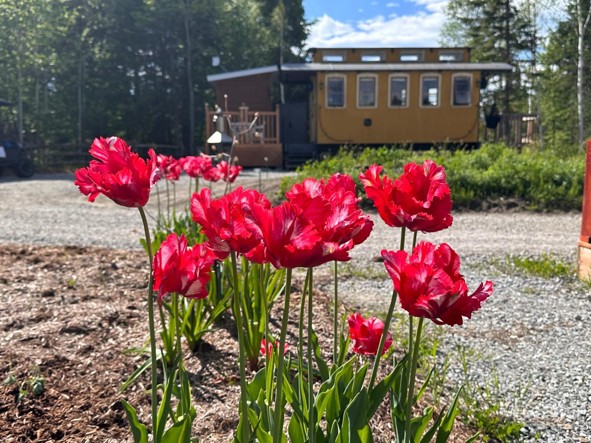 Villa Domaine Gagnon Saint Sebastien Esterno foto