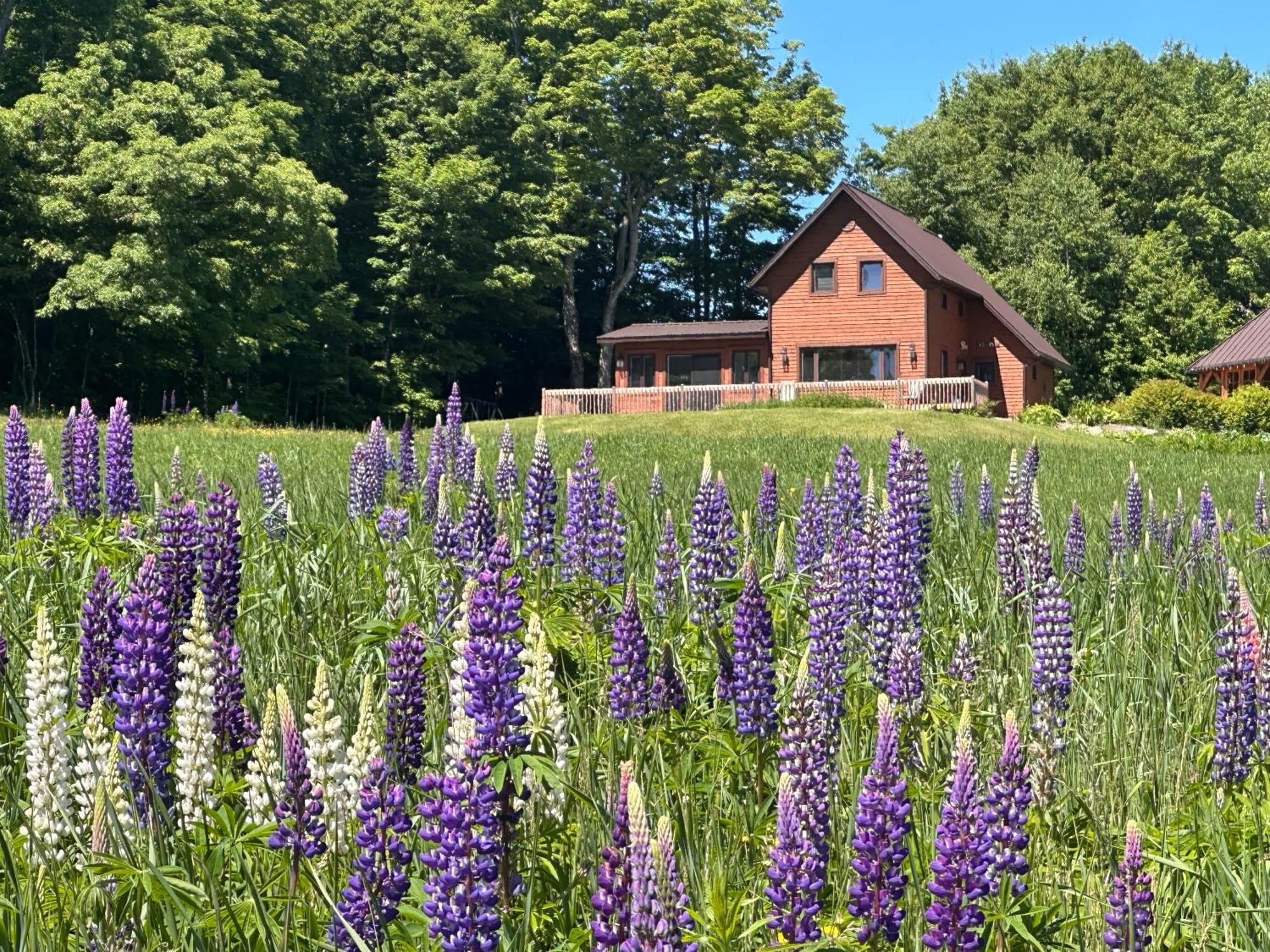 Villa Domaine Gagnon Saint Sebastien Esterno foto
